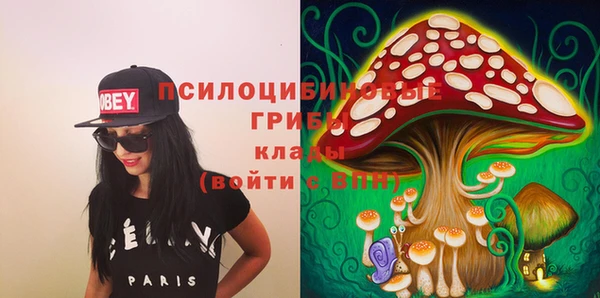 ГАЛЛЮЦИНОГЕННЫЕ ГРИБЫ Нязепетровск