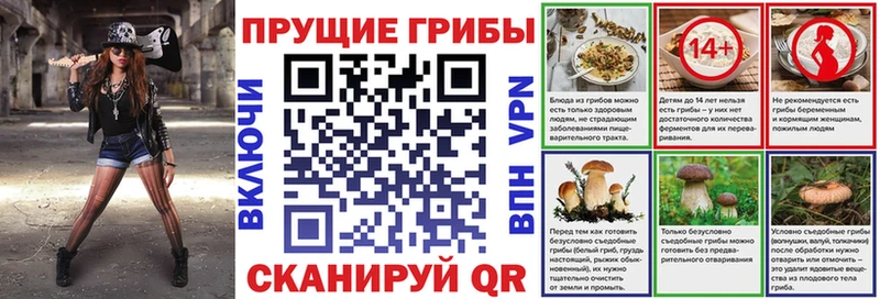 Псилоцибиновые грибы ЛСД  blacksprut вход  Каменка  сколько стоит 