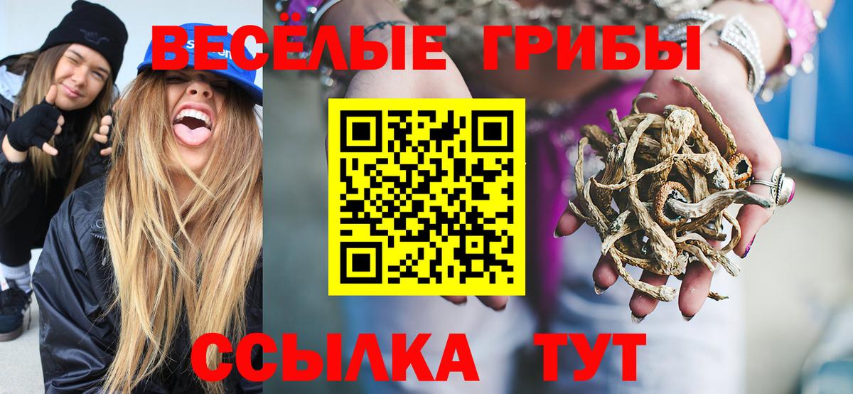Псилоцибиновые грибы прущие грибы  Вход с VPN  Каменка 