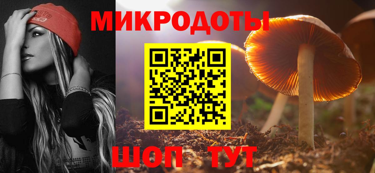 Псилоцибиновые грибы прущие грибы Каменка